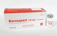 Benzapen 12 Lac Injection